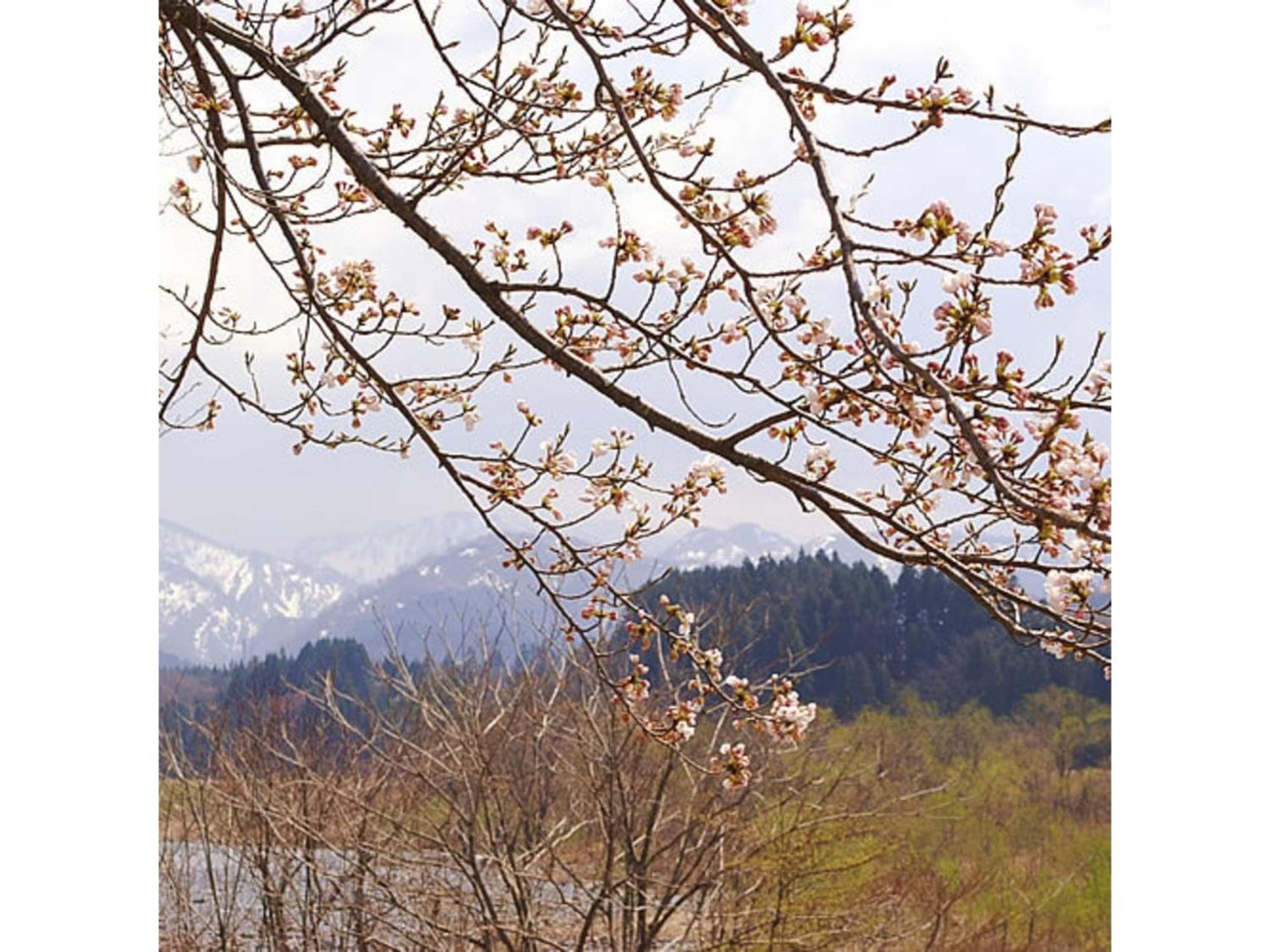 Shintainai Onsen Royal Tainai Park Hotel - Vacation Stay 90212V ภายนอก รูปภาพ