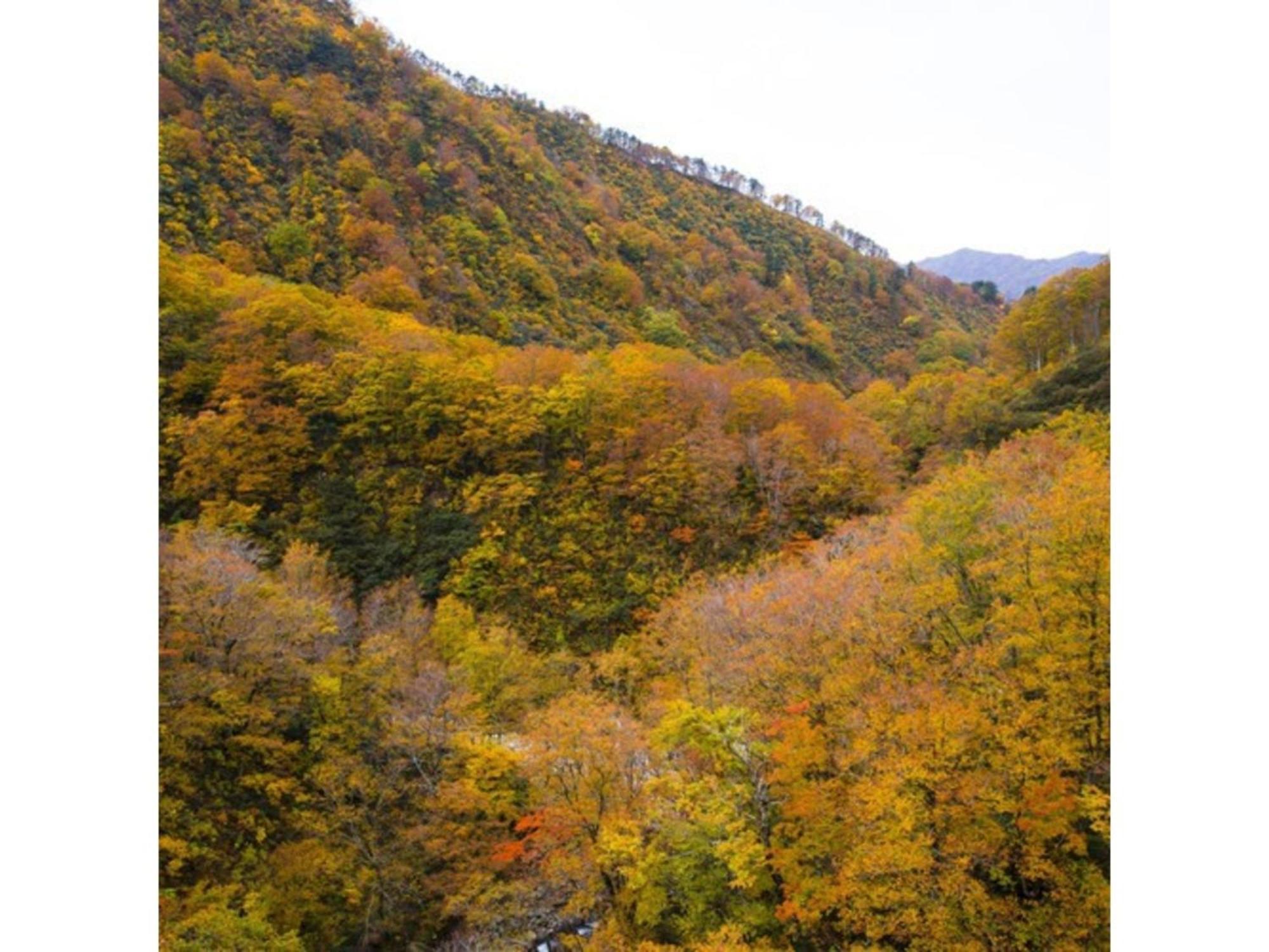 Shintainai Onsen Royal Tainai Park Hotel - Vacation Stay 90212V ภายนอก รูปภาพ